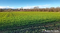 20230109_154123 - Dalla terra... il grano